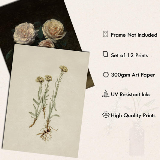 Vintage_Wall_Art_Decor,_Vintage_Posters_for_Room_Aesthetic_Picture,_Vintage_Farmhouse_Decor,_Eclectic_French_Country_Botanical_Painting,_Cottagecore_Gallery_Wall_Print_for_Bedroom_Kitchen