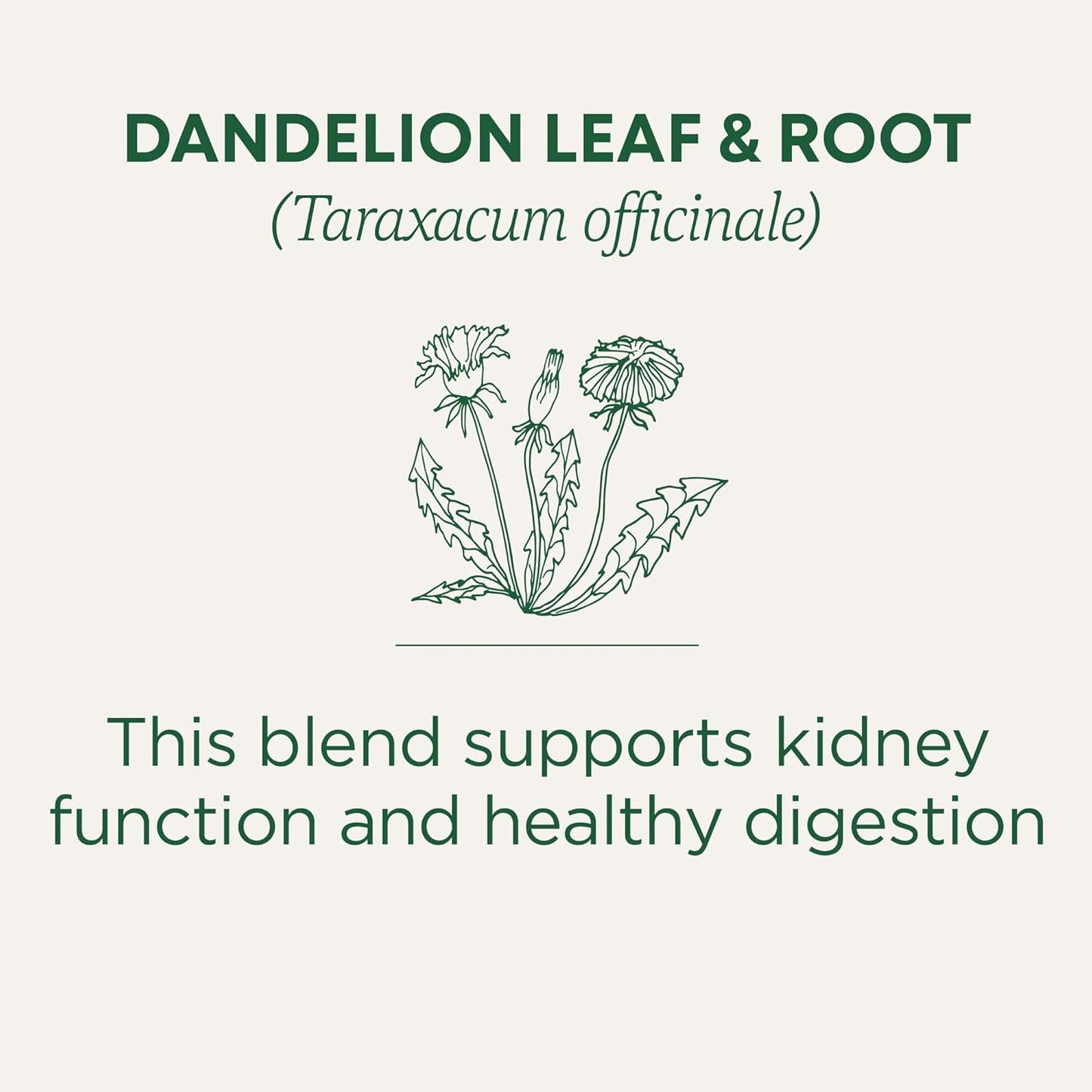 Traditional_Medicinals_Tea,_Organic_Dandelion_Leaf_&_Root,_Supports_Kidney_Function_Healthy_Digestion,_16_Tea_Bags