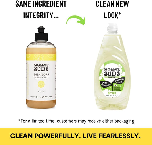 Molly's_Suds_Liquid_Dish_Soap_|_Clean,_Simple_Ingredients_|_Extra_Scrubbing_Power_|_Citrus_Scent,_24_oz_-_2_Pack
