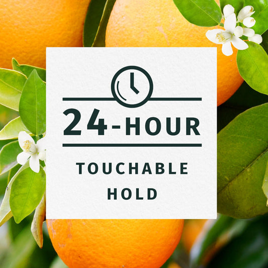 Herbal_Essences_Volumizing_Hairspray,_Strong_Hold,_Fresh_Citrus_Scent,_Pack_of_3,_24_oz_Total