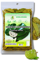 Guanábana Hojas (Soursop Leaves Tea) – Jumbo 4 oz 100% Natural, Vegan, Non-GMO, Wildcrafted & Authentic Caffeine-Free Herbal Tea Makes 30+ Cups Beverage