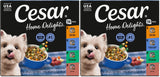 Cesar Home Delights Adult Wet Dog Food, Pot Roast with Spring Vegetables, Beef Stew, Turkey, Green Beans, & Potatoes, and Hearty Chicken & Noodle Dinner in Sauce Variety Pack