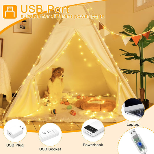 Ollny_USB_Rope_Lights_Outdoor_Color_Changing_with_Remote,_33FT_100_LED_Waterproof_String_Lights,_18_Colors_Fairy_Christmas_Light_for_Indoor_Bedroom_Party_Garden_Wedding_Holiday_Decorations