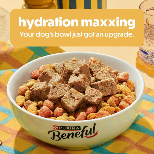 Purina_Beneful_Gravy_Wet_Dog_Food_Variety_Pack,_Prepared_Meals_Stew_-_(12)_10_oz._Tubs