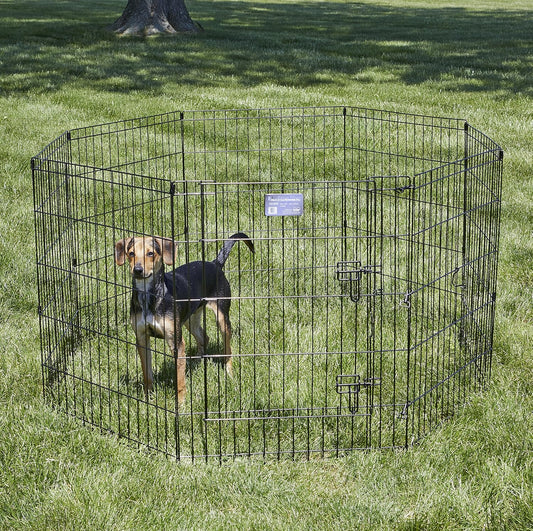 MidWest_Homes_for_Pets_30-Inch_Exercise_Pen,_for_Indoor_and_Outdoor_Use,_16_Sq_Feet_of_Play,_Single_Door_Folding_Dog_Pen,_with_Large_Door_Opening_&_Secure_Latch,_Easy_to_Set_Up,_Foldable_Dog_Playpen