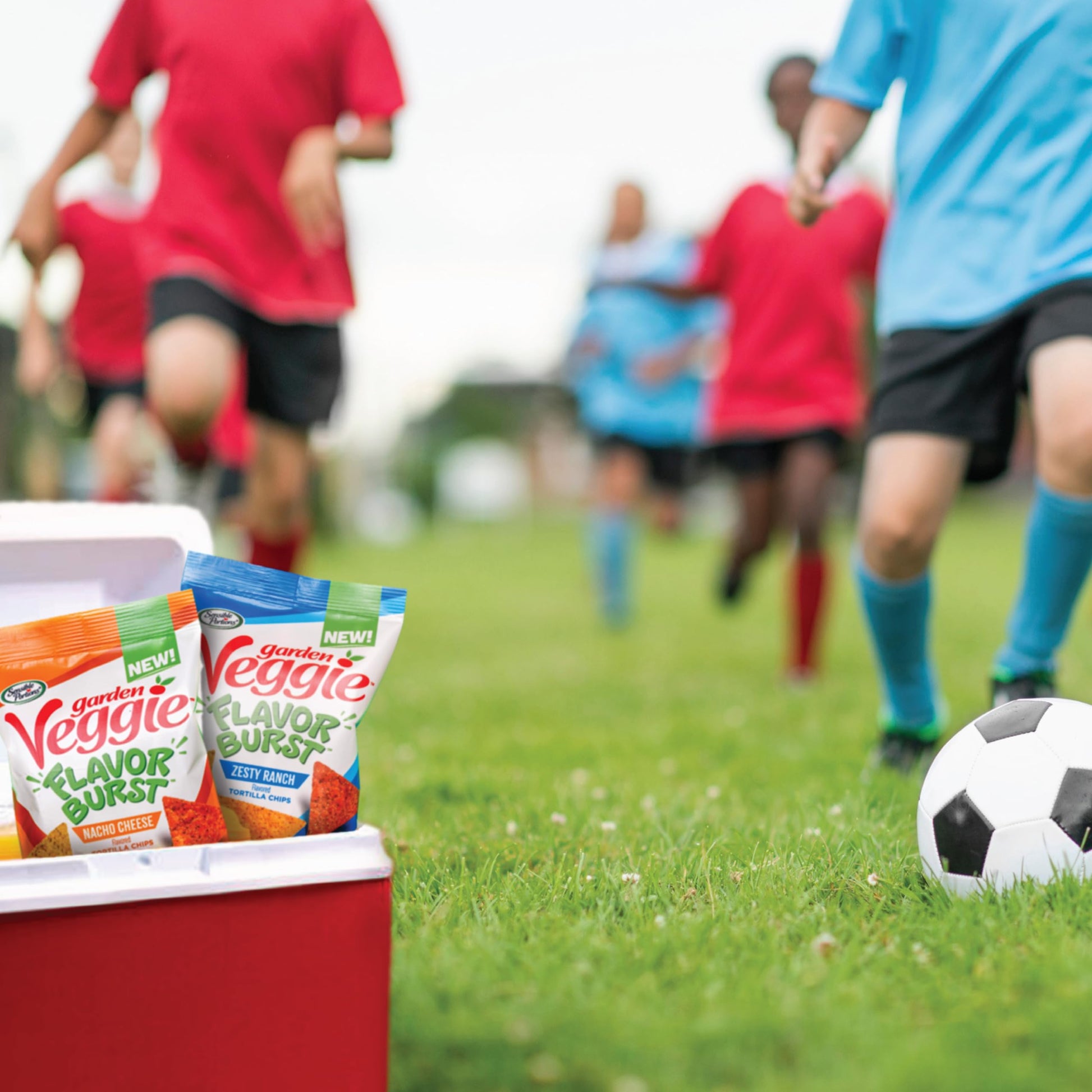 Sensible_Portions_Garden_Veggie_Flavor_Burst_Tortilla_Chips,_Nacho,_6_Oz