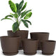 pack of 5 - Brown