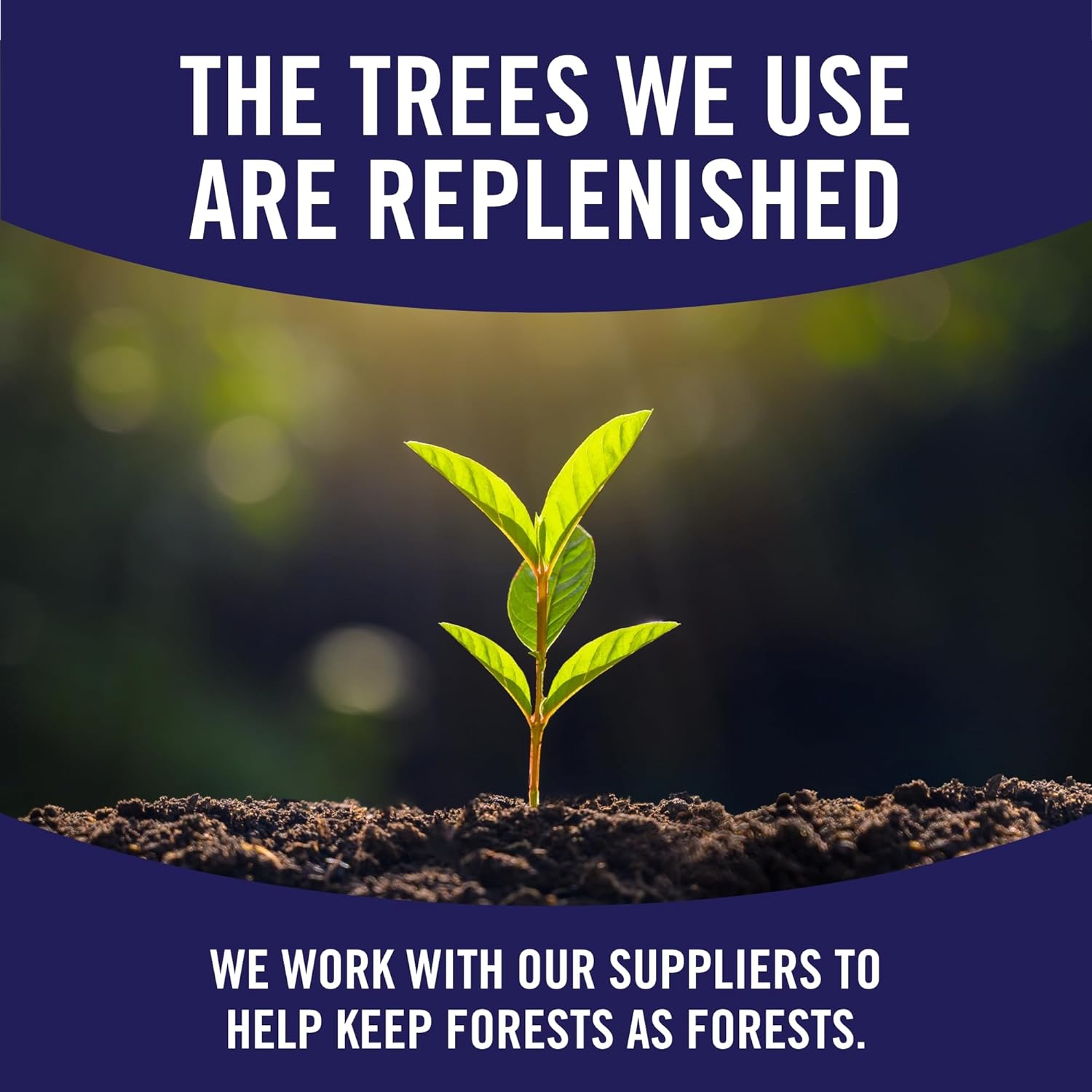 Sparkle_Pick-A-Size_Paper_Towels,_6_Double_Rolls_=_12_Regular_Rolls_Disposable_Pack_Toilet_Wipe_Sheets