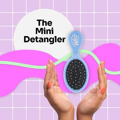 Wet_Brush_Squirt_Detangling_Brush,_Sky_-_Mini_Detangler_Brush,_No_Tangle_Ultra-Soft_IntelliFlex_Bristles,_Wet_&_Dry_Styling_Hair_Brush_for_Women_&_Men,_All_Hair_Types