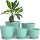 pack of 5 - Aqua