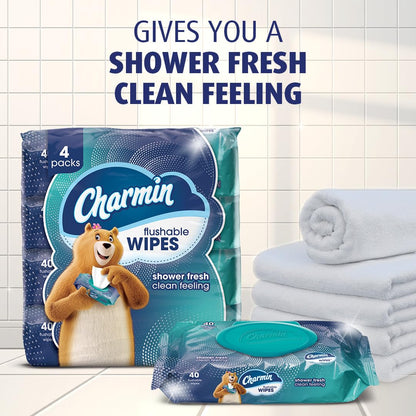 Charmin_Flushable_Wipes,_,_40_Wipes_(Pack_of_4),_160_Total_Wipes