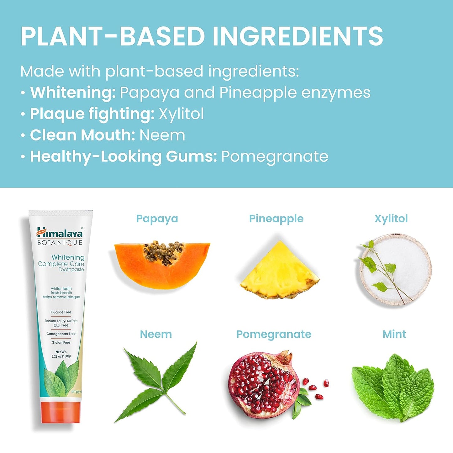 Himalaya_Botanique_Whitening_Complete_Care_Toothpaste,_Teeth_Whitening,_Fluoride_Free,_No_Artificial_Flavors,_SLS_Free,_Foaming,__5.29_Oz,_2_Pack_Oral