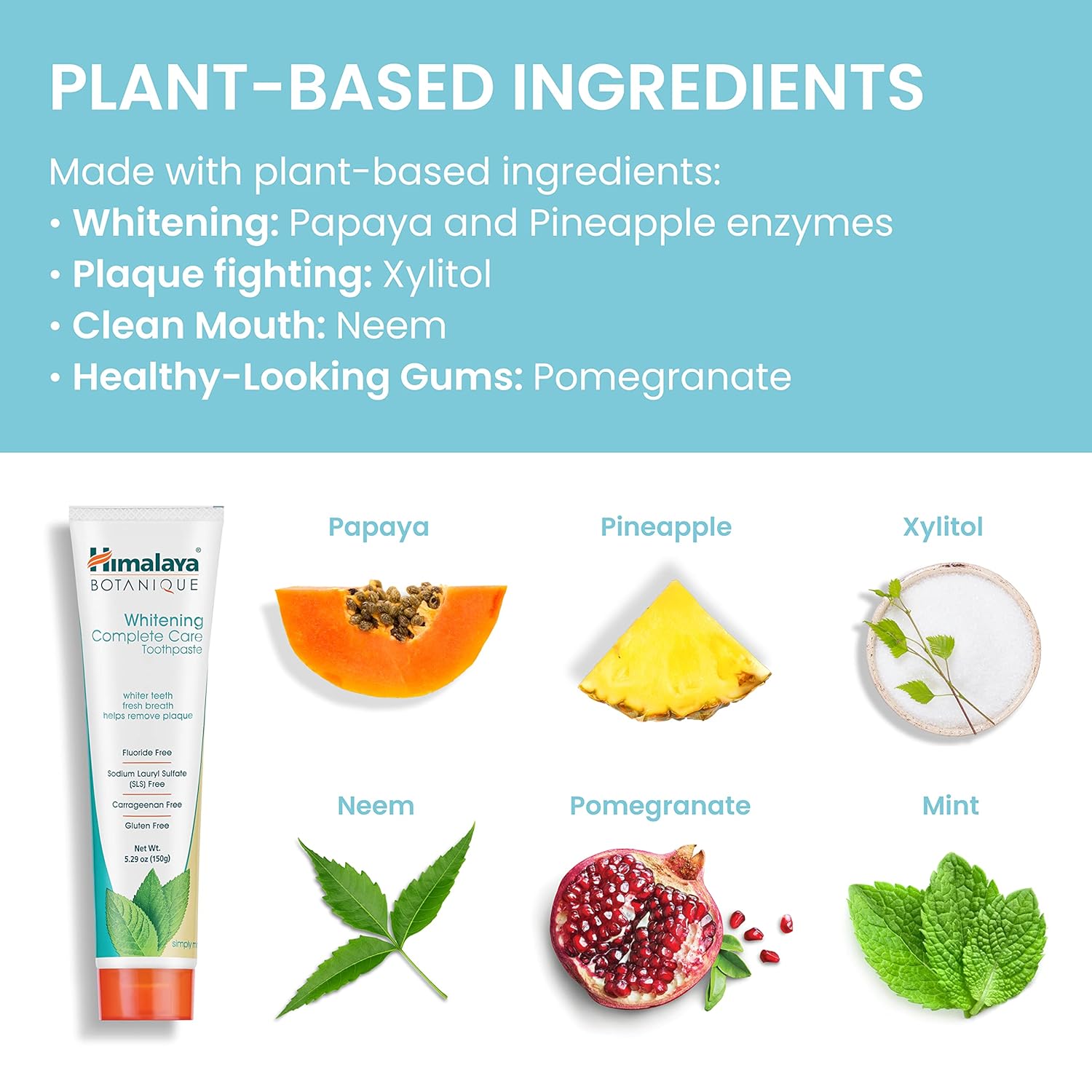 Himalaya_Botanique_Whitening_Complete_Care_Toothpaste,_Teeth_Whitening,_Fluoride_Free,_No_Artificial_Flavors,_SLS_Free,_Foaming,__5.29_Oz,_2_Pack_Oral