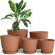 pack of 5 - Terracotta