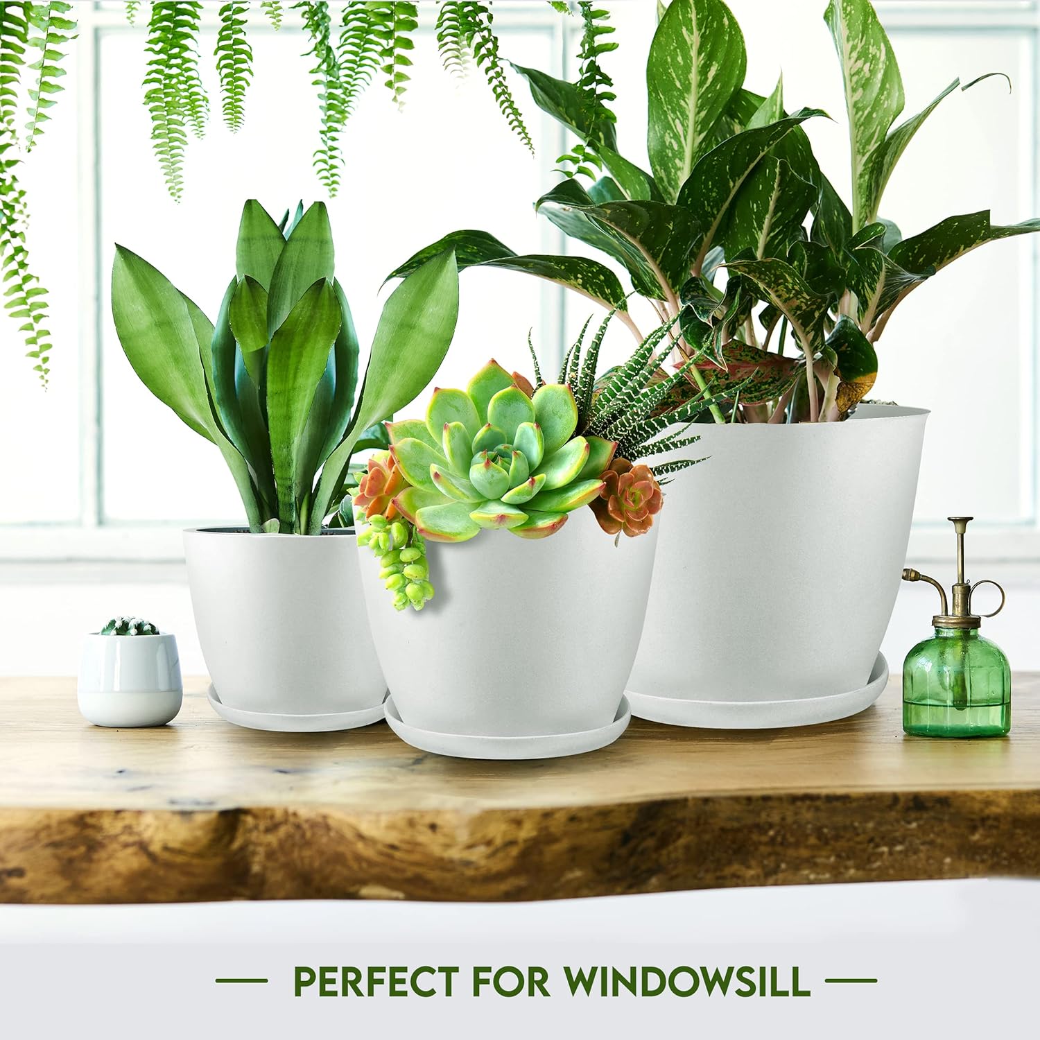 Utopia_Home_-_Plant_Pots_Indoor_with_Drainage_7/6.6/6/5.3/4.8_Inches_Flower_for_Planter_5_Pack_Plastic_Planters_Ideal_Stocking_Stuffers_or_Christmas_Decorations