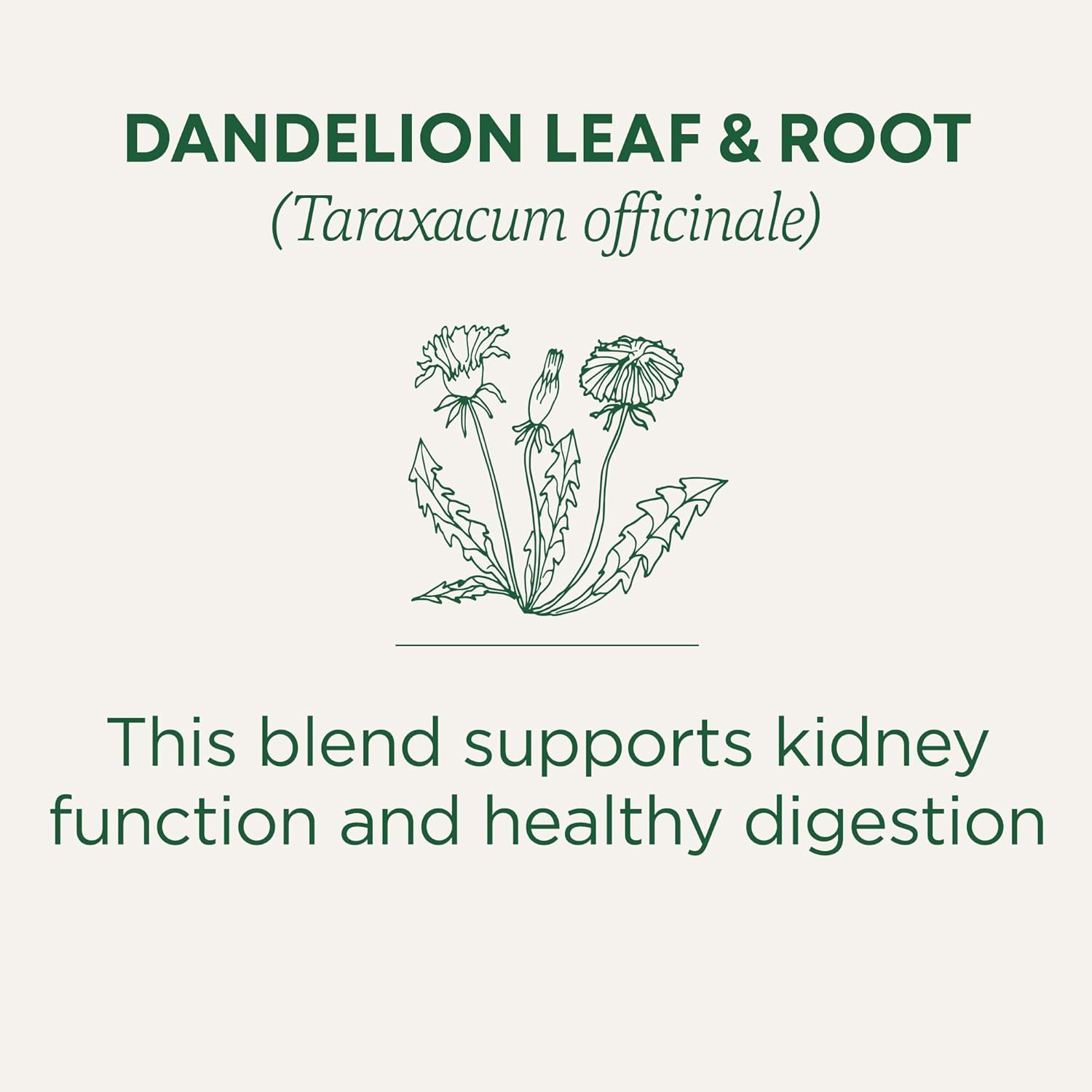 Traditional_Medicinals_Tea,_Organic_Dandelion_Leaf_&_Root,_Supports_Kidney_Function_Healthy_Digestion,_16_Tea_Bags