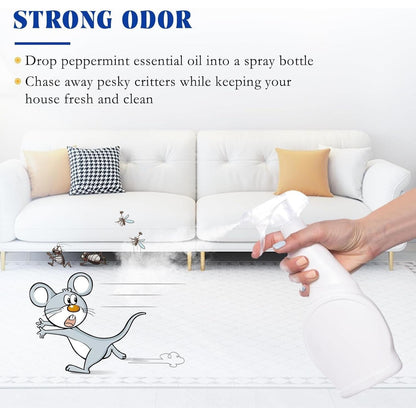 Pure_Natural_Oil_for_Home_Spray,_Diffuser,_Garden_&_Yard_-_100ML_-_Fragrance,_Freshener