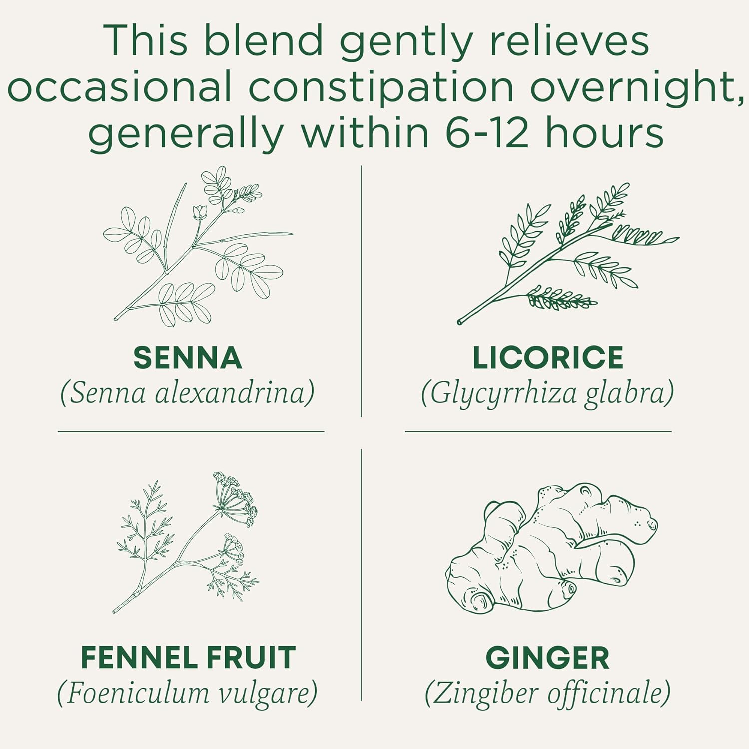 Traditional_Medicinals_Tea,_Organic_Smooth_Move_Senna,_32_Tea_Bags