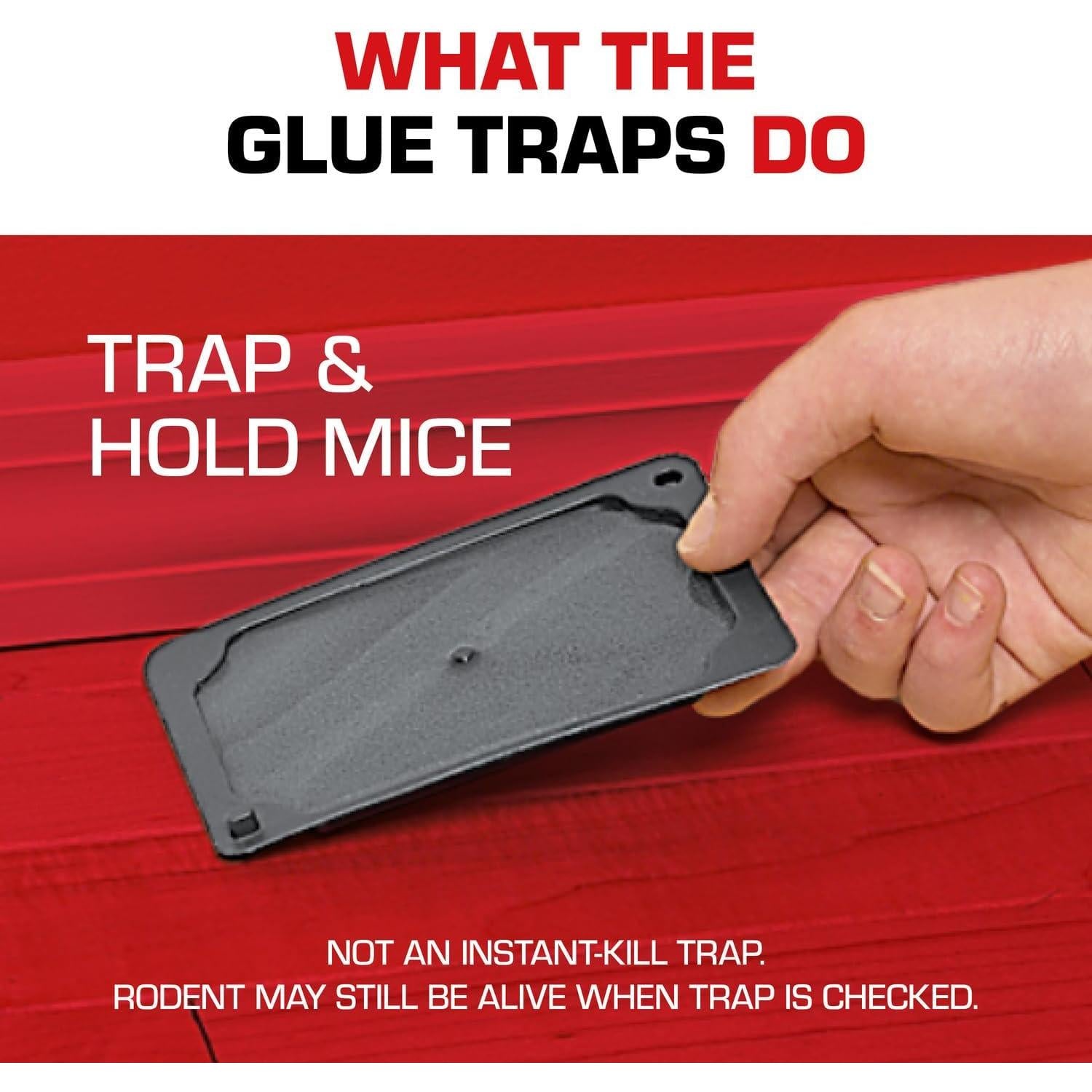 Tomcat_Glue_Traps_Mouse_Size_with_Eugenol_for_Enhanced_Stickiness_for_Mice,_Cockroaches,_and_Spiders