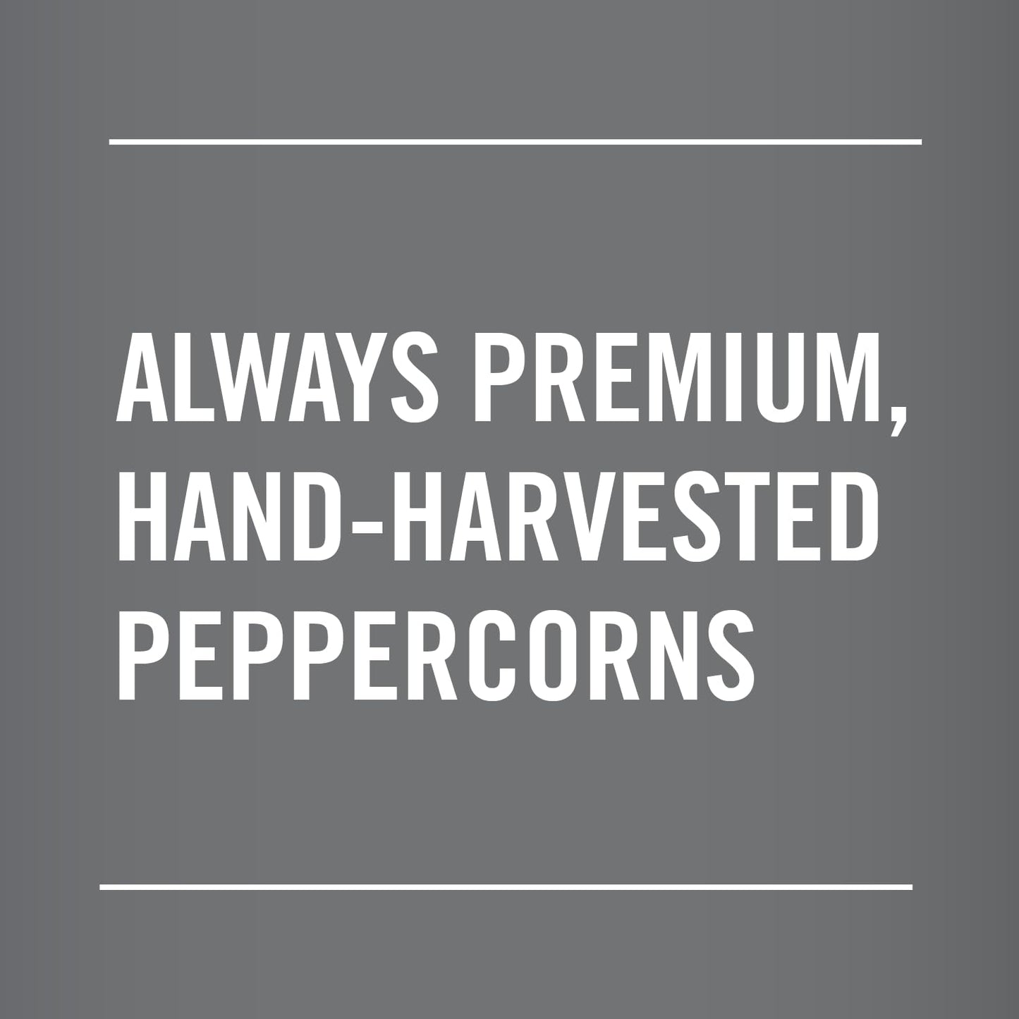 McCormick_Whole_Black_Pepper,_Made_with_Whole_Peppercorns,_17.5_oz