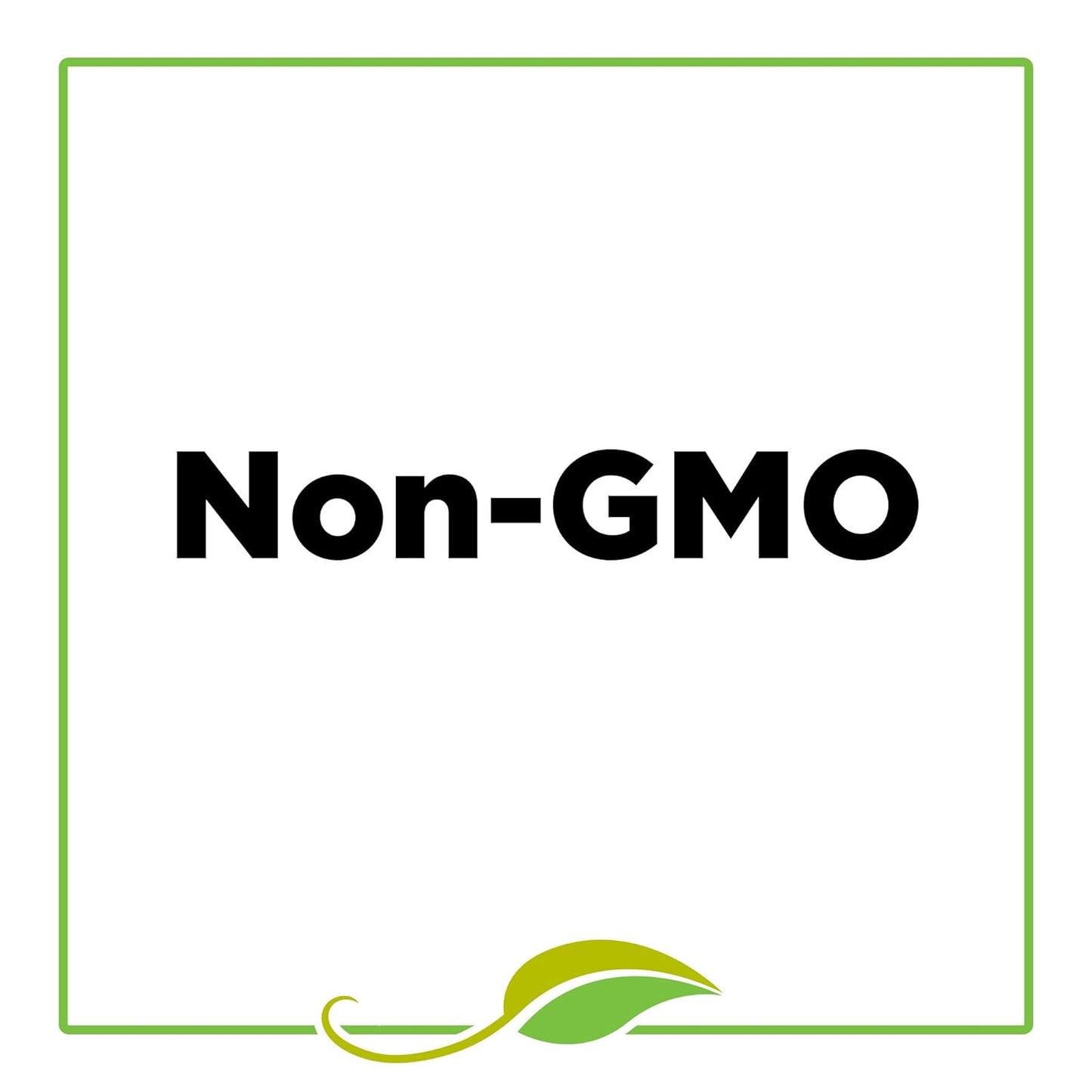 McCormick_Gourmet_Organic_Italian_Seasoning,_0.55_oz