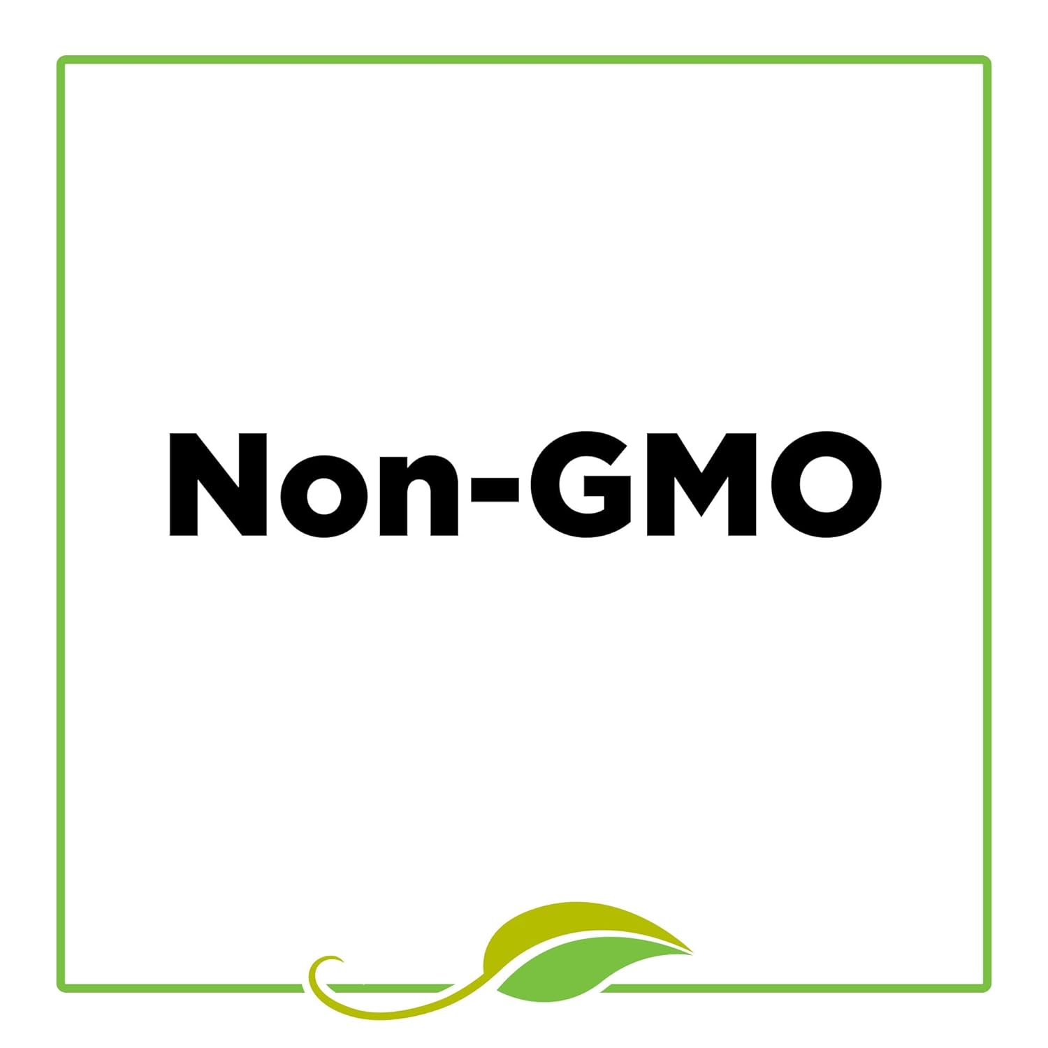 McCormick_Gourmet_Organic_Italian_Seasoning,_0.55_oz