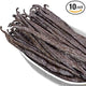 10 Count (Pack of 1)