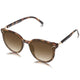 Black Tortoise Frame