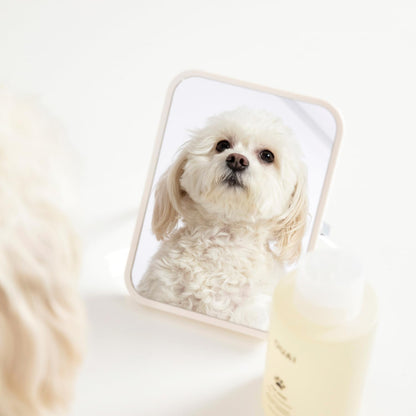 OUAI_Fur_Bebe_Pet_Shampoo_-_Cat_&_Dog_Shampoo_for_Gentle_Cleansing,_Hydration_&_Shine_-_Vegan_&_Cruelty-Free_Pet_Supplies_with_Aloe_Vera_&_Panthenol_-_Mercer_Street_Scent_(16_Fl_oz)