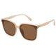 Brown/Brown - 58 Millimeters