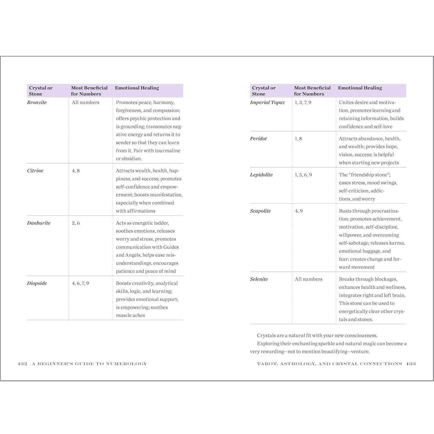 A_Beginner's_Guide_to_Numerology:_Decode_Relationships,_Maximize_Opportunities,_and_Discover_Your_Destiny