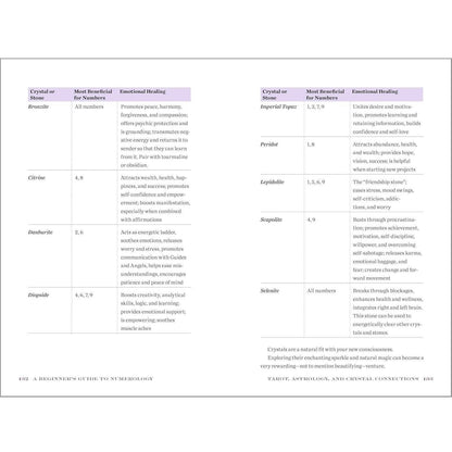 A_Beginner's_Guide_to_Numerology:_Decode_Relationships,_Maximize_Opportunities,_and_Discover_Your_Destiny
