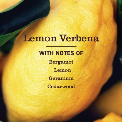 MRS._MEYER'S_CLEAN_DAY_Liquid_Toilet_Bowl_Cleaner,_Stain_Removing,_Lemon_Verbena,_24_oz