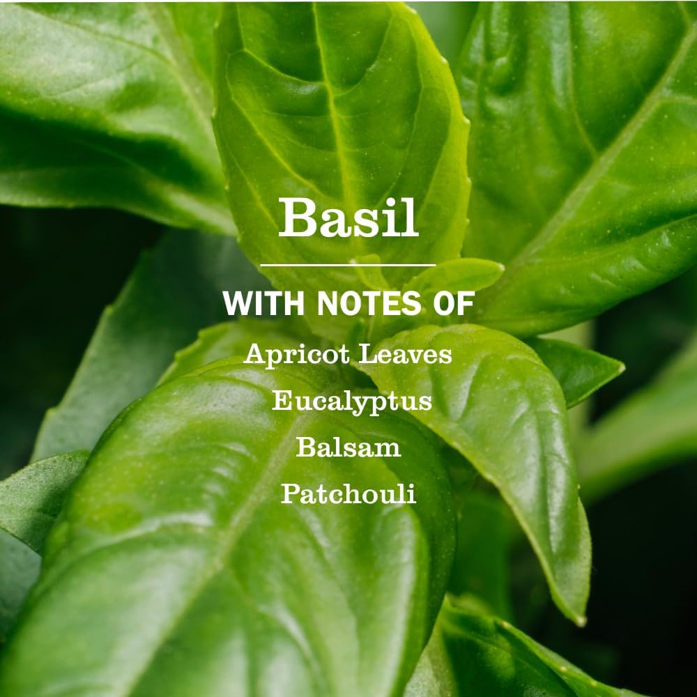 MRS._MEYER'S_CLEAN_DAY_All-Purpose_Cleaner_Spray,_Basil,_16_fl._oz
