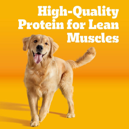 Pedigree_Adult_Dry_Dog_Food,_Complete_Nutrition,_Grilled_Steak_&_Vegetable_Flavor,_18_lb._Bag