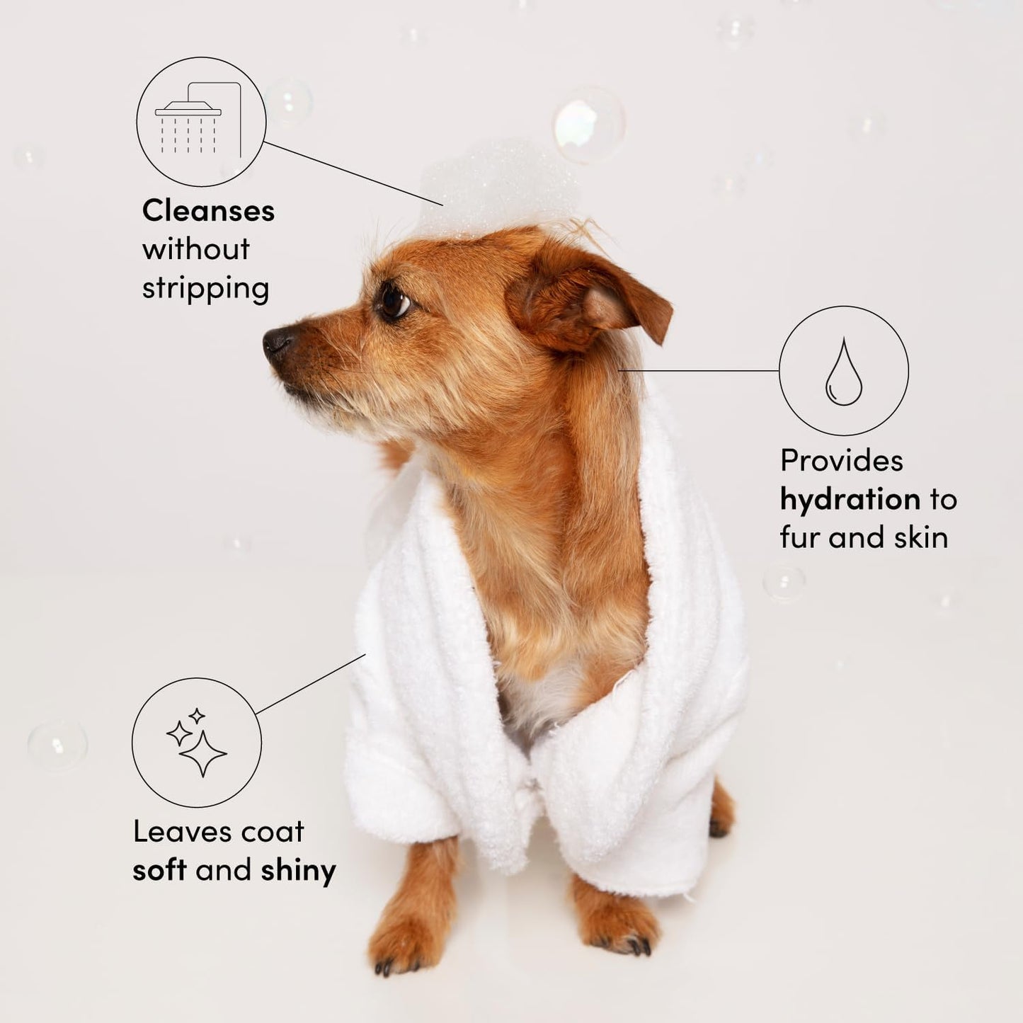 OUAI_Fur_Bebe_Pet_Shampoo_-_Cat_&_Dog_Shampoo_for_Gentle_Cleansing,_Hydration_&_Shine_-_Vegan_&_Cruelty-Free_Pet_Supplies_with_Aloe_Vera_&_Panthenol_-_Mercer_Street_Scent_(16_Fl_oz)