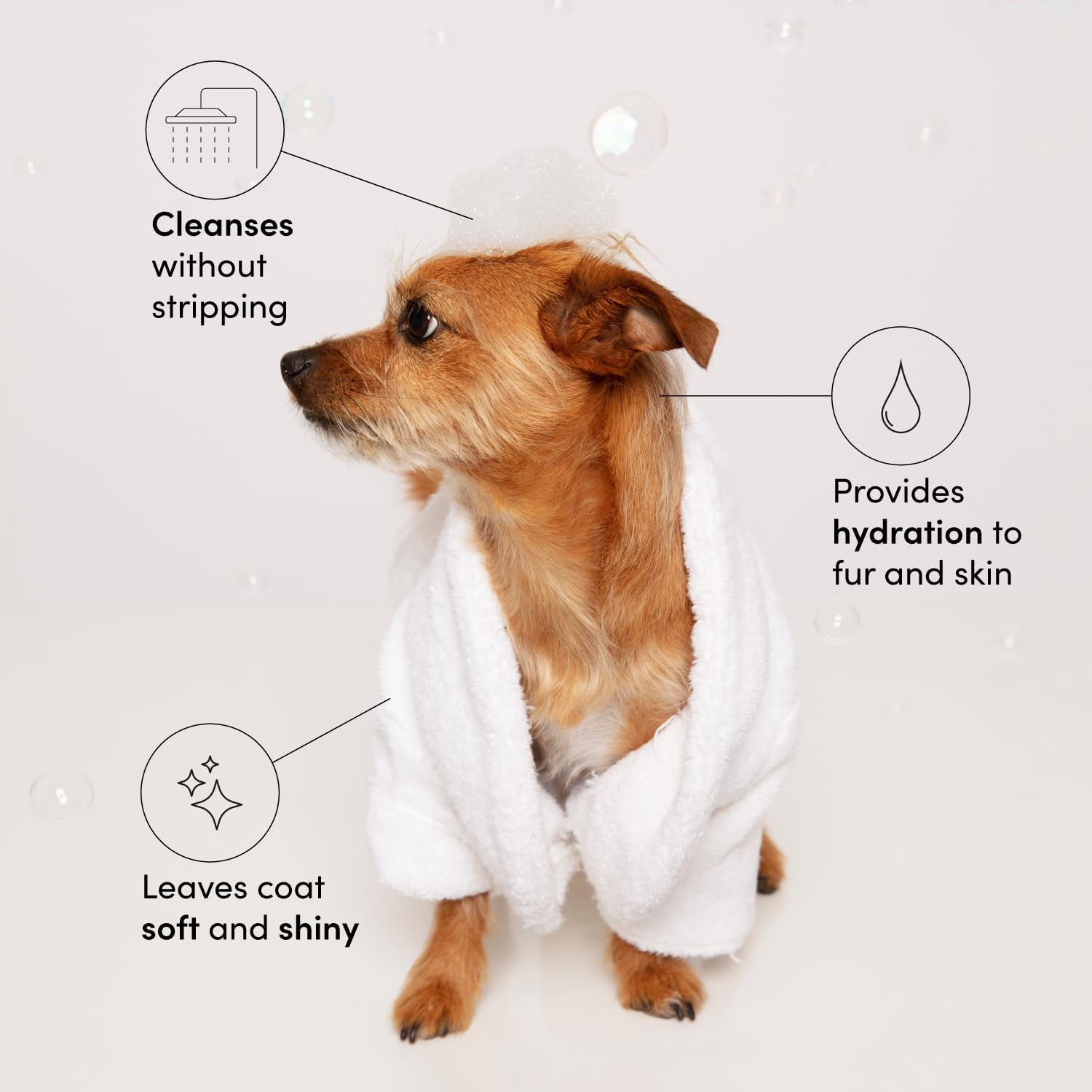OUAI_Fur_Bebe_Pet_Shampoo_-_Cat_&_Dog_Shampoo_for_Gentle_Cleansing,_Hydration_&_Shine_-_Vegan_&_Cruelty-Free_Pet_Supplies_with_Aloe_Vera_&_Panthenol_-_Mercer_Street_Scent_(16_Fl_oz)