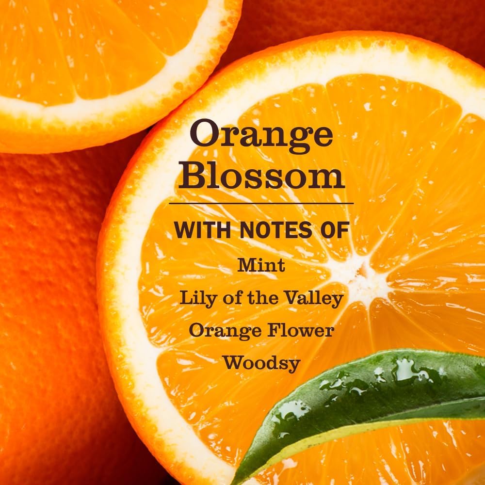 MRS._MEYER'S_CLEAN_DAY_Pet_Odor_Neutralizer,_Orange_Blossom_Scent,_12oz