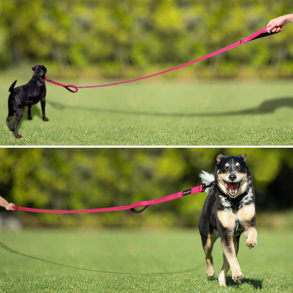 Plutus_Pet_Double_Handle_Dog_Leash_6ft_Long,_Padded_2_Handle,_Heavy_Duty,_Reflective_Training_Leash_for_Medium_Large_Dogs,_Dual_Handle_Lead_(Pink)