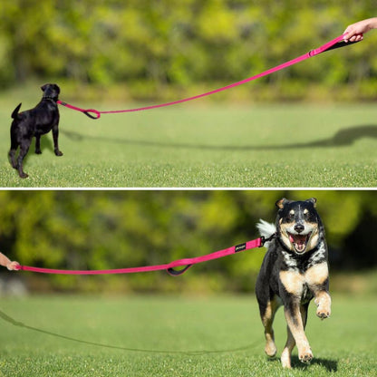 Plutus_Pet_Double_Handle_Dog_Leash_6ft_Long,_Padded_2_Handle,_Heavy_Duty,_Reflective_Training_Leash_for_Medium_Large_Dogs,_Dual_Handle_Lead_(Pink)