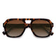 Brown Tortoise/Brown