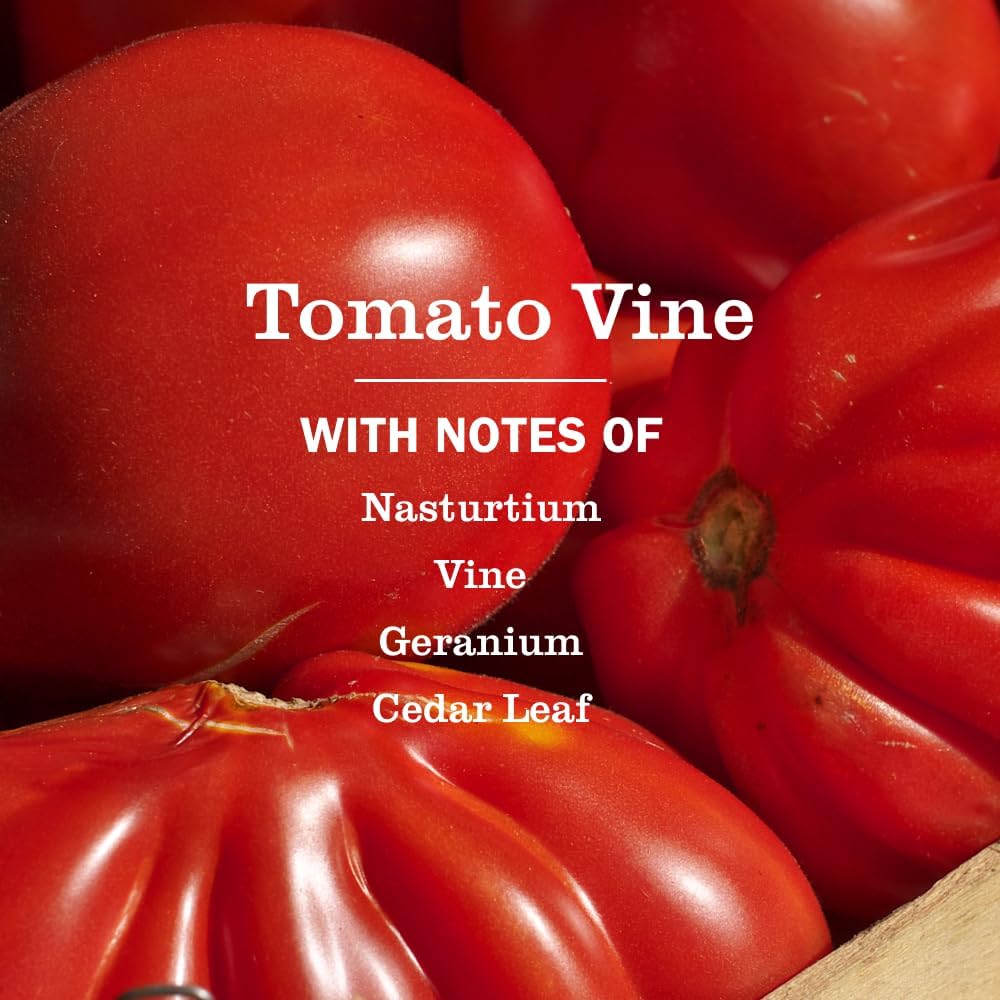 MRS._MEYER'S_CLEAN_DAY_Multi-Surface_Everyday_Cleaner,_Tomato_Vine_Scent,_16_Fl_Oz_Bottle