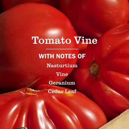 MRS._MEYER'S_CLEAN_DAY_Multi-Surface_Everyday_Cleaner,_Tomato_Vine_Scent,_16_Fl_Oz_Bottle