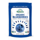 Bag - Blueberries - 1.2 Ounce