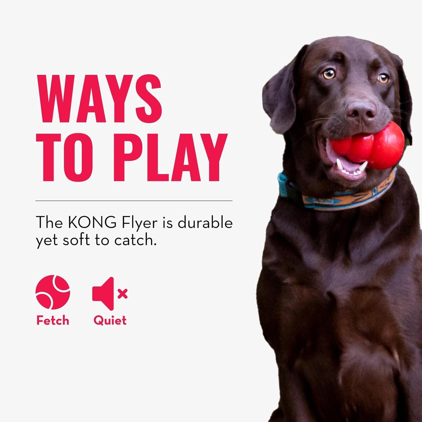 KONG_Flyer_-_Durable_Dog_Toy_for_Outdoor_Playtime_-_Natural_Rubber_Flying_Disc,_Dog_Toy_for_Fetch_-_Safer_Disc_for_Healthy_Activity_-_for_Medium/Large_Dogs