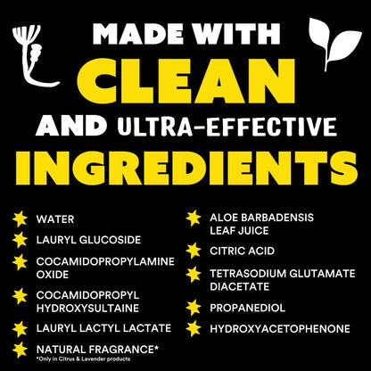 Molly's_Suds_Liquid_Dish_Soap_|_Clean,_Simple_Ingredients_|_Extra_Scrubbing_Power_|_Citrus_Scent,_24_oz_-_2_Pack