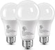 Daylight White - 3 Pack