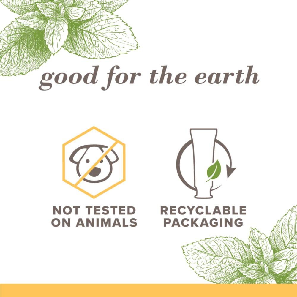 Burt's_Bees_Toothpaste,_Natural_Flavor,_Fluoride-Free,_Purely_White,_Zen_Peppermint,_4.7_oz,_Pack_of_3