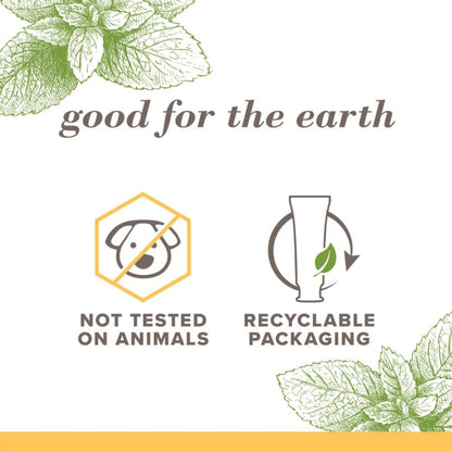 Burt's_Bees_Toothpaste,_Natural_Flavor,_Fluoride-Free,_Purely_White,_Zen_Peppermint,_4.7_oz,_Pack_of_3