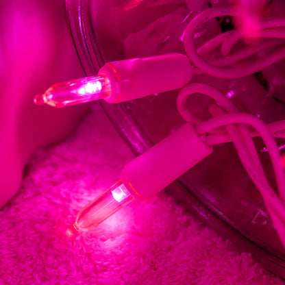 YULETIME_LED_Christmas_Lights_with_Wire,_33_ft_100_Count_UL_Certified_Commercial_Grade_Holiday_String_Light_Set